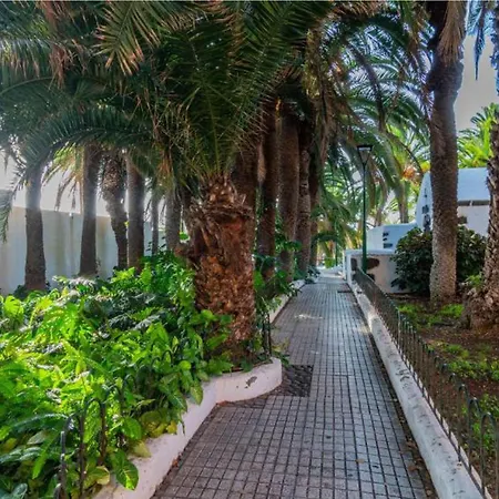 Apartment Live Puerto Valle Luz Puerto de la Cruz (Tenerife)