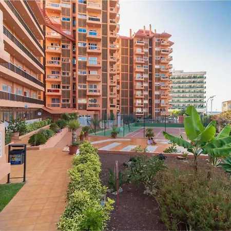 Live Puerto Valle Luz